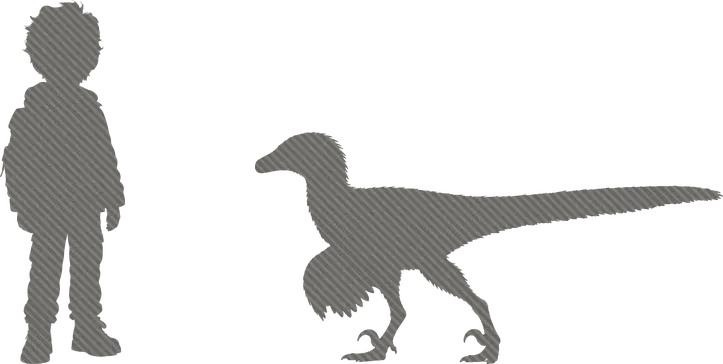 Shadow shapes of Kip and a Velociraptor standing side by side, to show how big it was